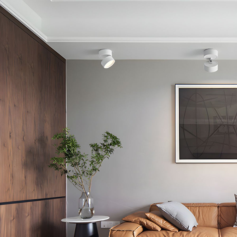 Lampa Sufitowa Spot Minimalistyczny z Obrotową Głowicą i LED