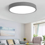 Lampa Sufitowa LED Okrągła Nowoczesna - Szary