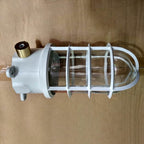 Lampa Sufitowa Industrialna z Kloszem Klatkowym i Szkłem - Biały - okablowanie od boku