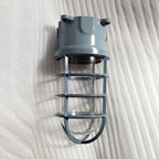 Lampa Sufitowa Industrialna z Kloszem Klatkowym i Szkłem - 13