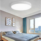 Lampa Sufitowa Minimalistyczna Okrągła Plafon z Wbudowanym LED - 25