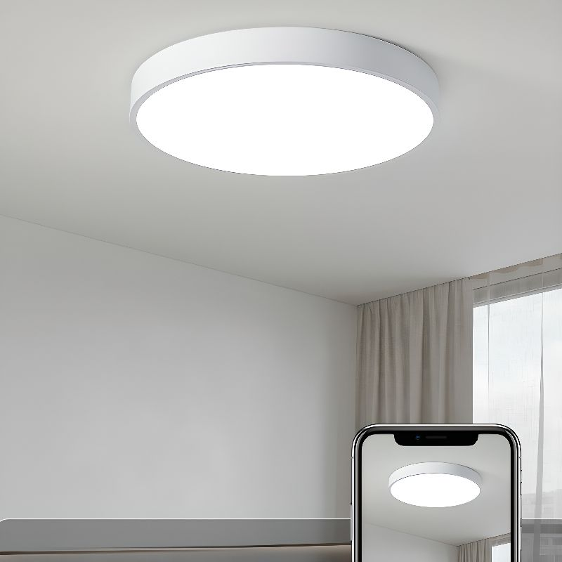 Lampa Sufitowa Minimalistyczna Okrągła Plafon z Wbudowanym LED - 28