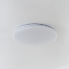 Lampa Sufitowa Minimalistyczna z Organicznym Kloszem w Kształcie Otoczaka - 11