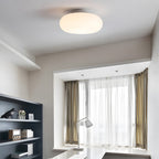 Lampa Sufitowa Minimalistyczna z Owalnym Szklanym Kloszem - 9
