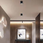 Lampa Sufitowa Minimalistyczna z Obrotową Głowicą i Diodą LED - 2