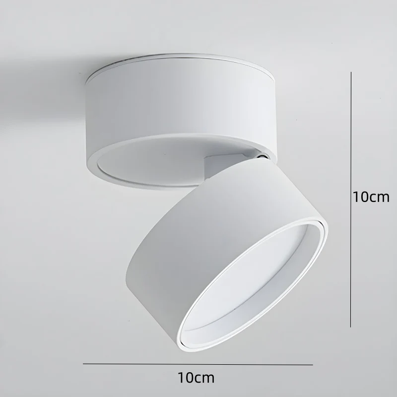 Lampa Sufitowa Spot Minimalistyczny z Obrotową Głowicą i LED - 11