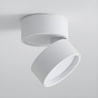 Lampa Sufitowa Spot Minimalistyczny z Obrotową Głowicą i LED - Biały