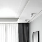 Lampa Sufitowa Spot Minimalistyczny z Obrotową Głowicą i LED - 6